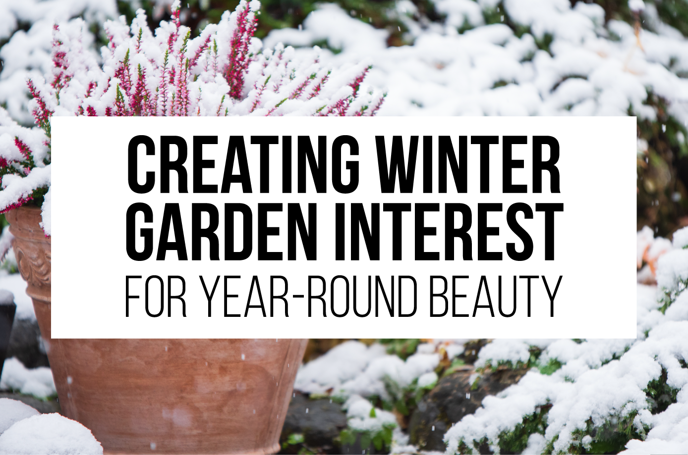 Creating Winter Garden Interest for Year-Round Beauty